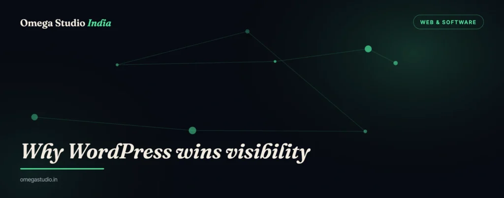 Web & Software — Omega Studio India