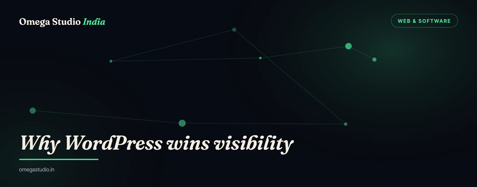 Web & Software — Omega Studio India