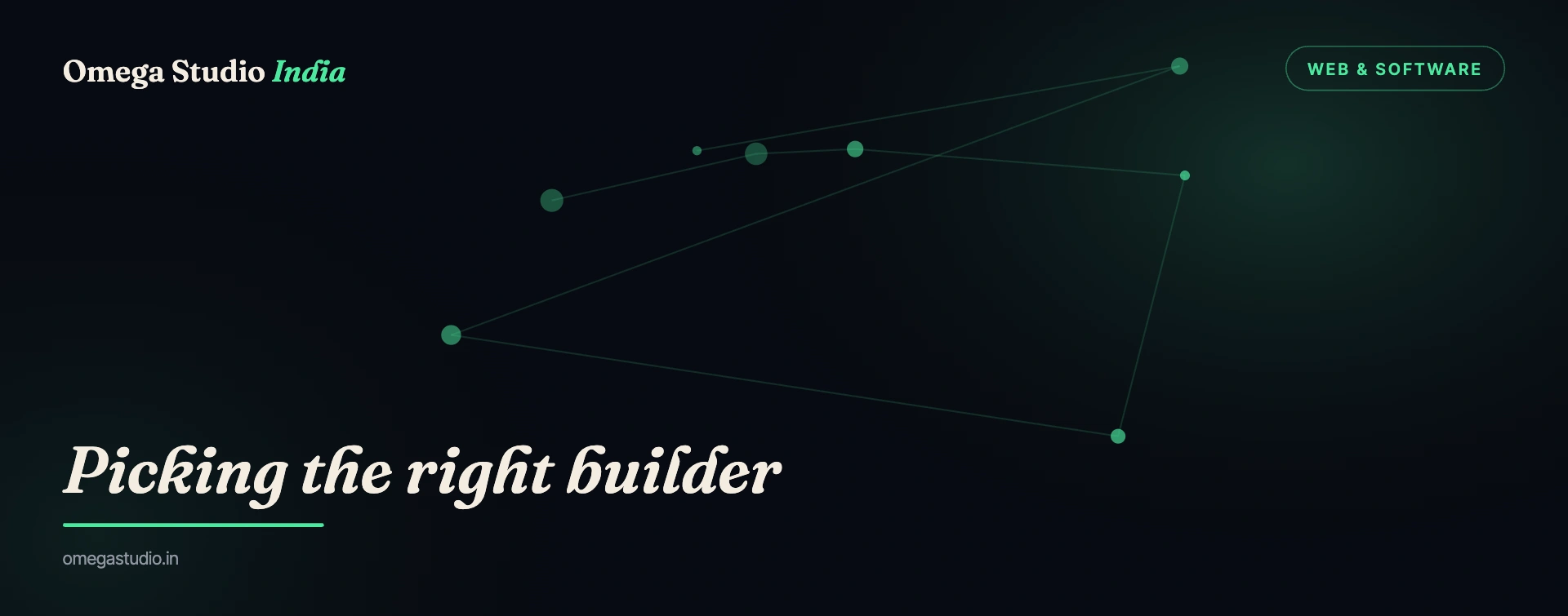 Web & Software — Omega Studio India
