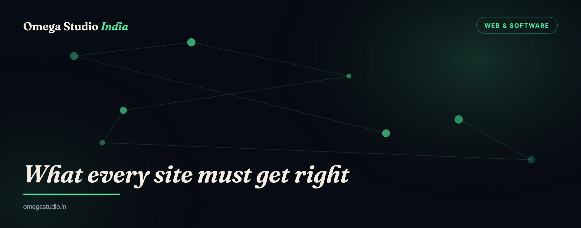 Web & Software — Omega Studio India