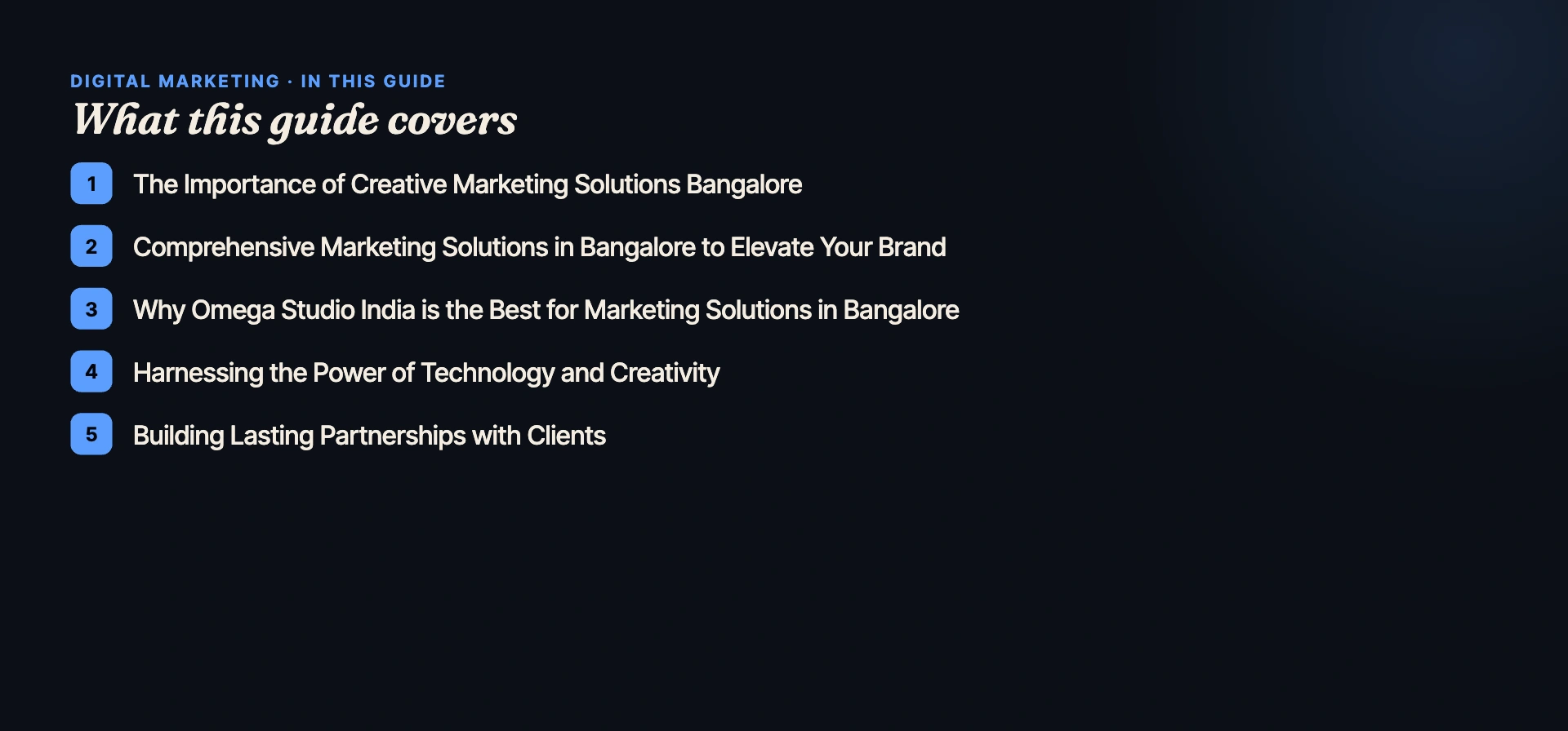 What this guide covers — Omega Studio India
