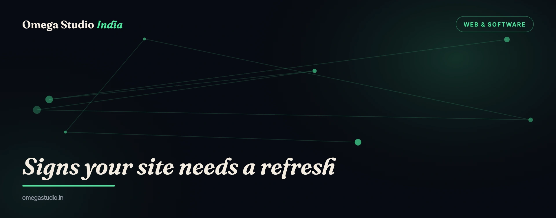 Web & Software — Omega Studio India
