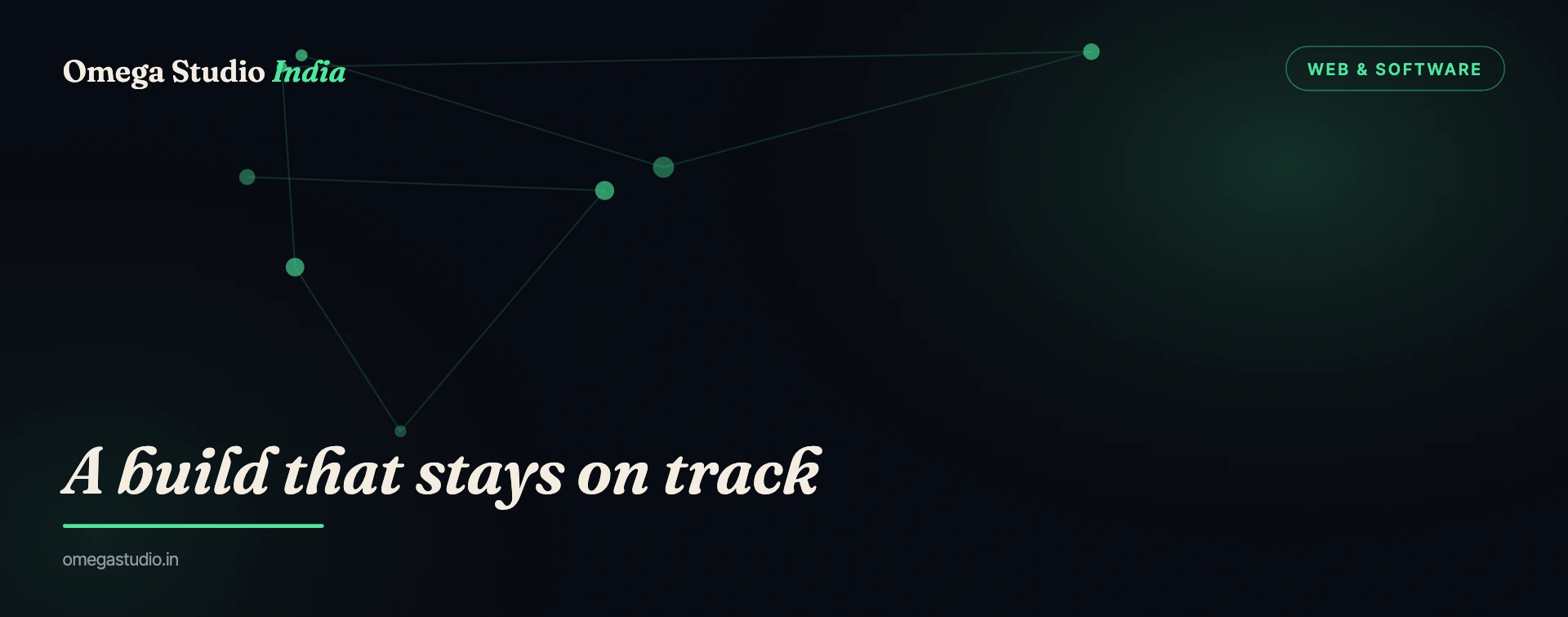 Web & Software — Omega Studio India