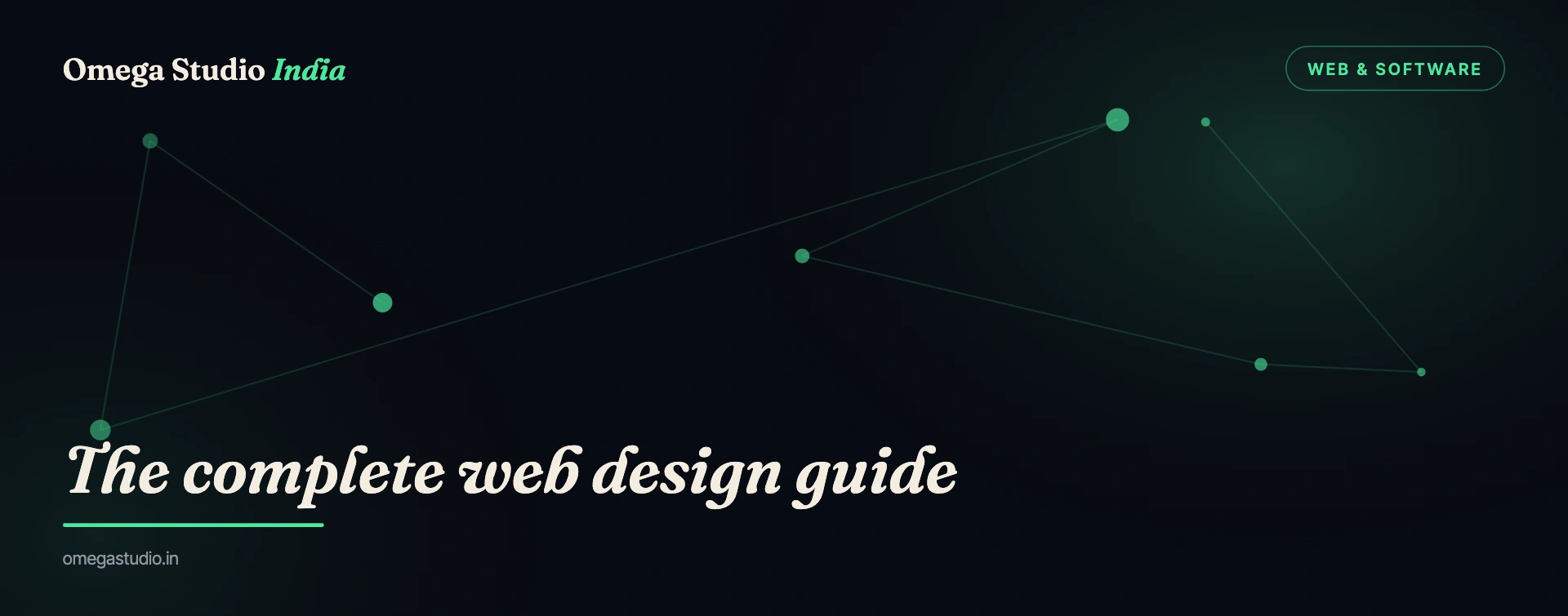 Web & Software — Omega Studio India