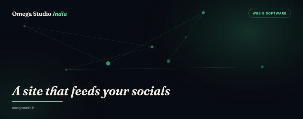 Web & Software — Omega Studio India