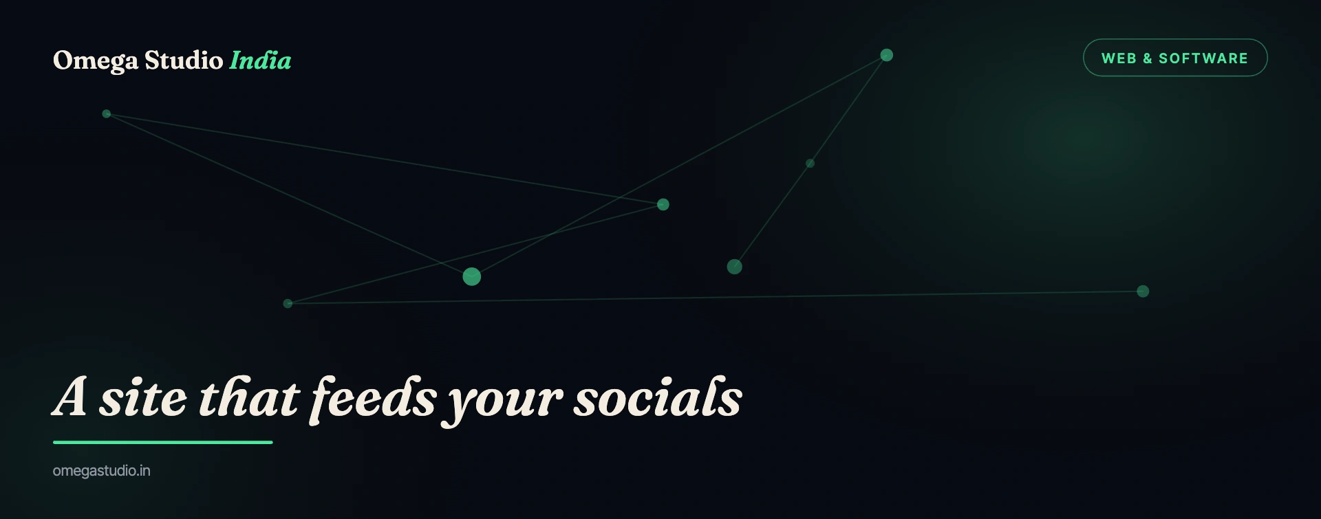 Web & Software — Omega Studio India