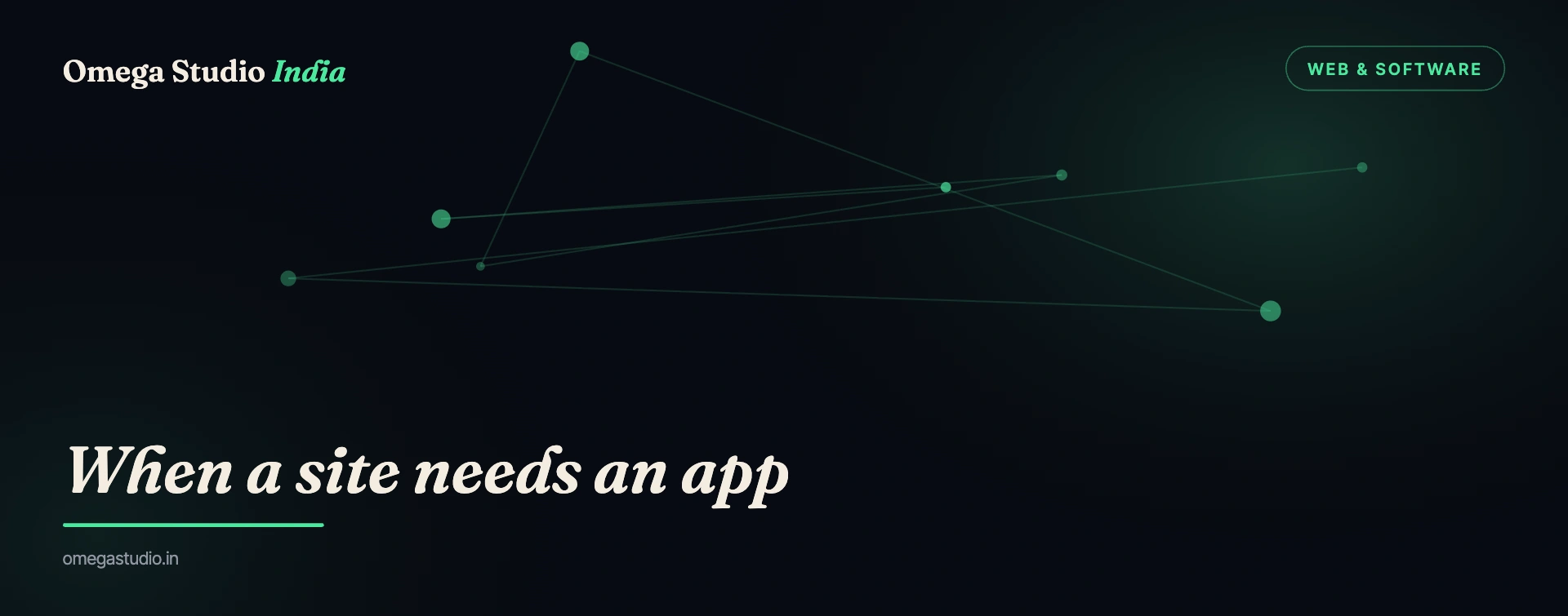 Web & Software — Omega Studio India