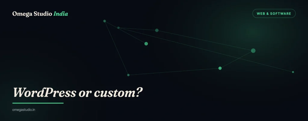 Web & Software — Omega Studio India