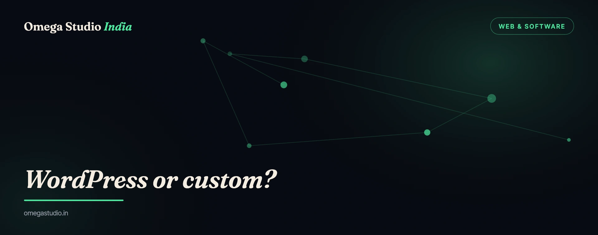 Web & Software — Omega Studio India